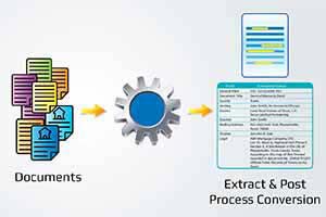 Data Extraction and Processing