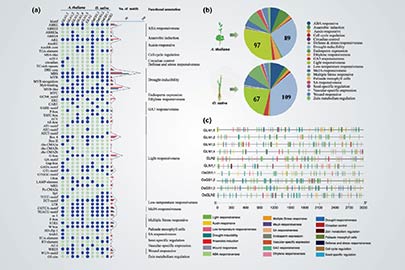 Structured Analysis