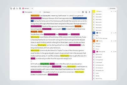 Text Annotation and Classification