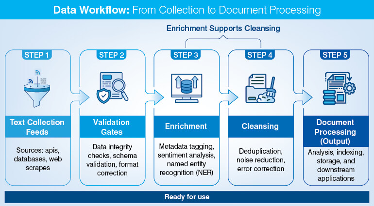 Data Workflow: From Collection to Document Processing