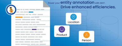 How to Use BERT to Improve the Quality of Entity Annotation in ML Models