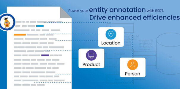 How to Use BERT to Improve the Quality of Entity Annotation in ML Models