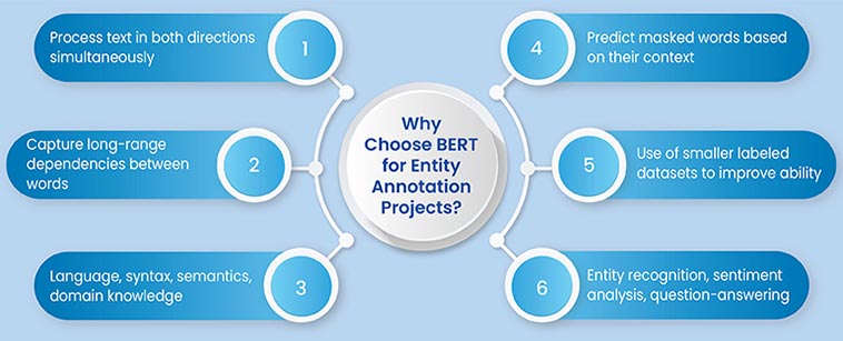 why choose bert for entity annotation projects