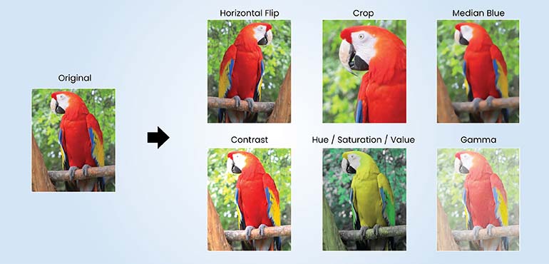 Image data augmentation