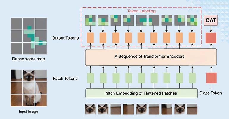 Token-Level Tagging