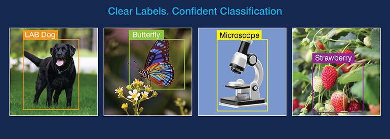 Clear Labels. Confident Classification
